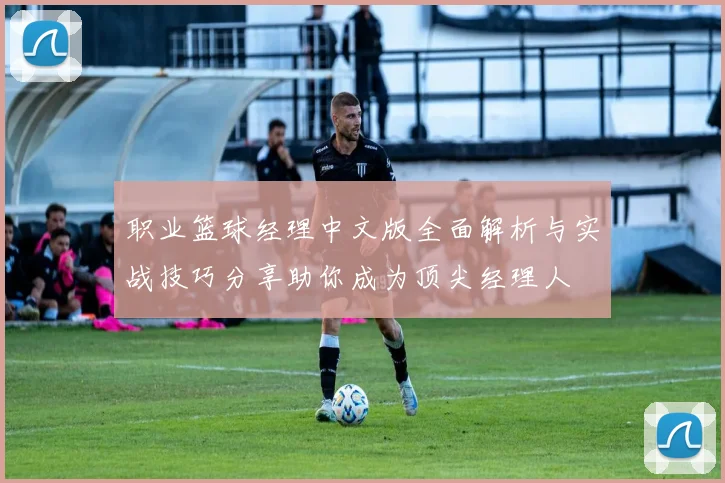 职业篮球经理中文版全面解析与实战技巧分享助你成为顶尖经理人