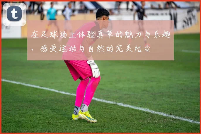 在足球场上体验真草的魅力与乐趣，感受运动与自然的完美结合